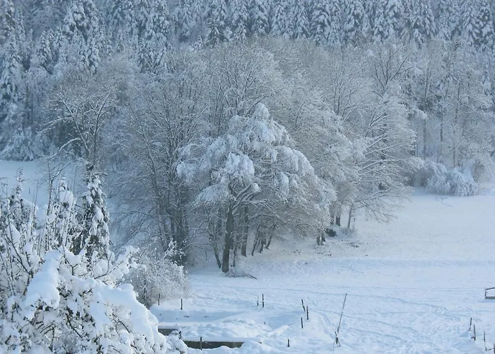 Villa Les Bruyeres