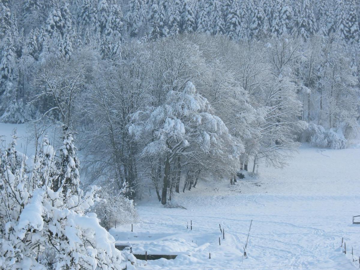 Les Bruyeres Saint-Joseph-de-Riviere
